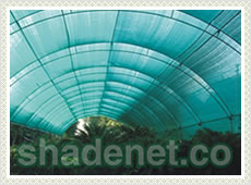 Agro Green Shade Net