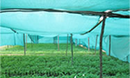 AGRICULTURAL NET AGRICULTURAL NET